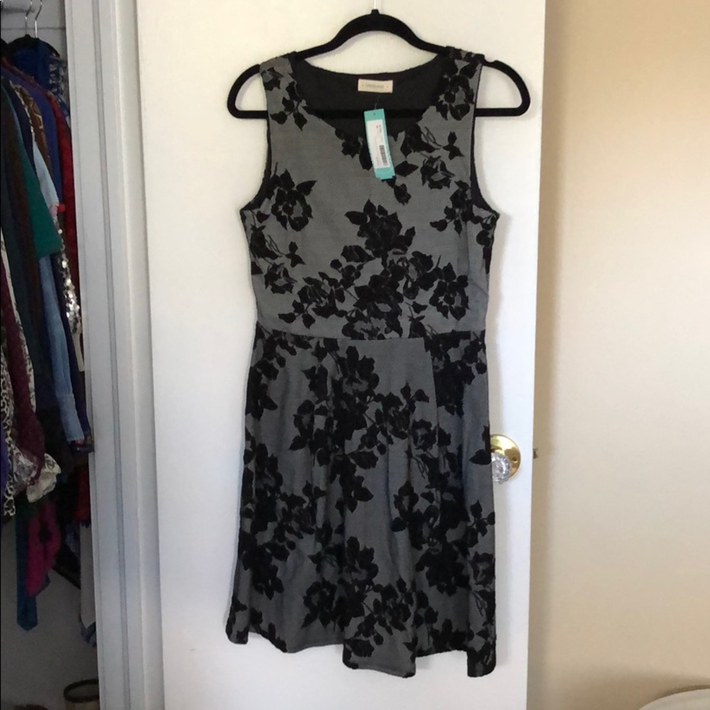 Crescent Leanne Textured Knit Dress Size M - NWT